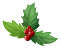 Holly Berries.png